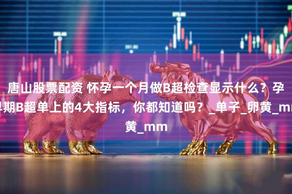 唐山股票配资 怀孕一个月做B超检查显示什么？孕早期B超单上的4大指标，你都知道吗？_单子_卵黄_mm